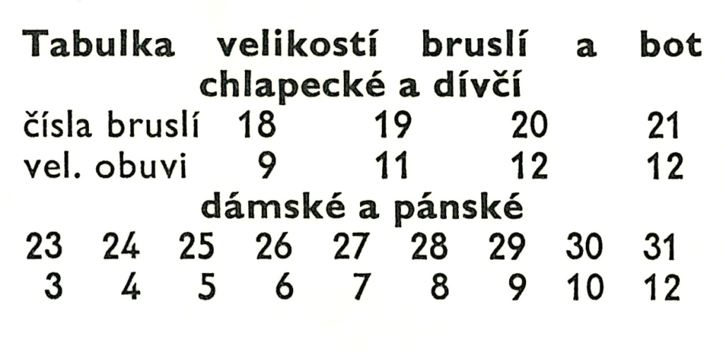 Hokejové puky závodní